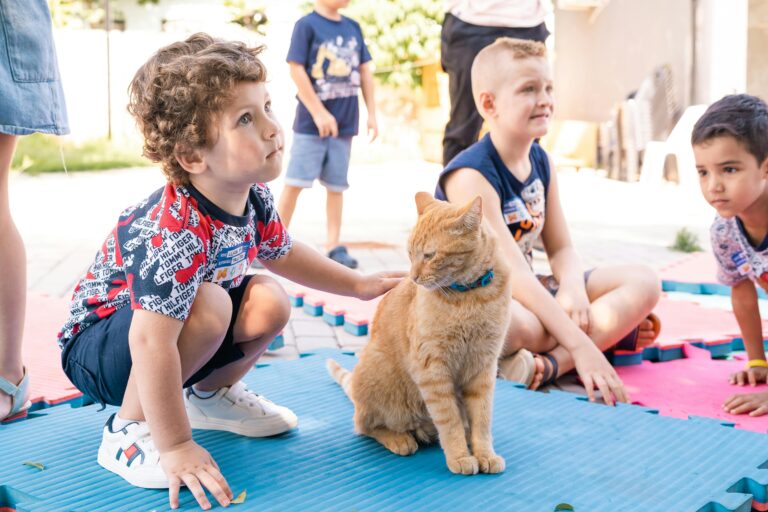 Group of children interacting with an orange tabby cat outdoors on a sunny day.